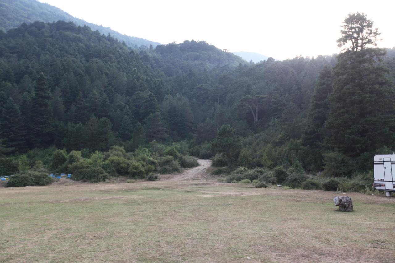 Hamiti Camping Center Dukat Екстер'єр фото