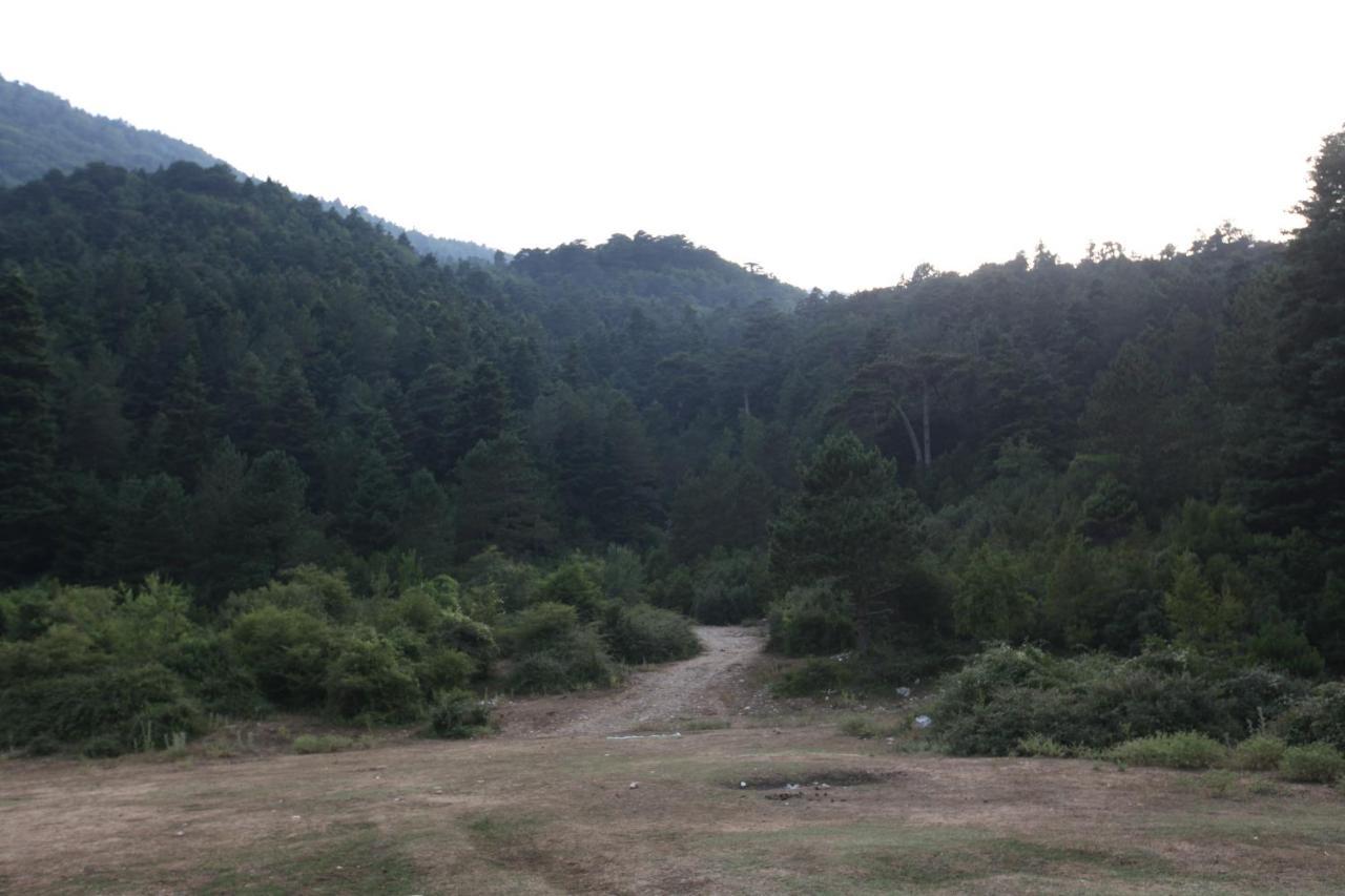 Hamiti Camping Center Dukat Екстер'єр фото